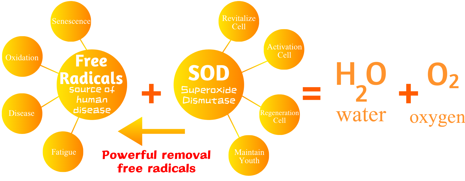 Product Introduction 2